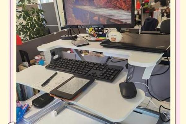 办公室清新神器：风水轮，让工作环境焕然一新！