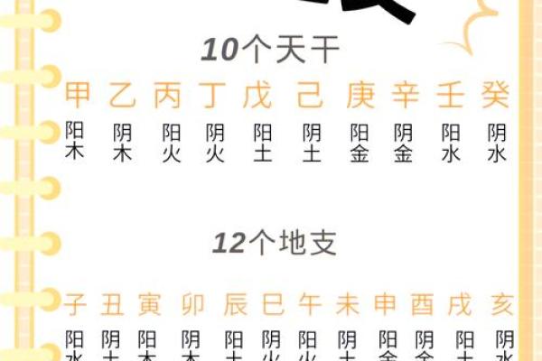 探索五行的神秘力量