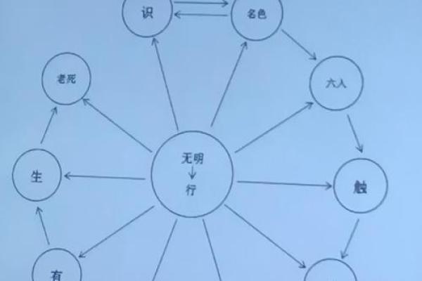 解密佛道缘分与地支的深层联系 解密佛道缘分与地支的深层联系