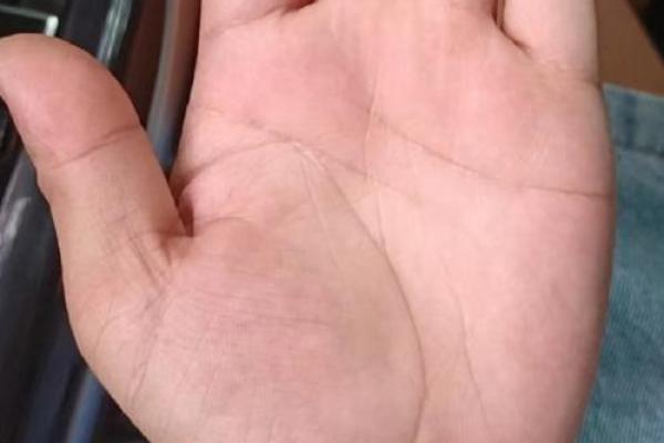 手指短小掌心宽，事业发达福泽深厚！