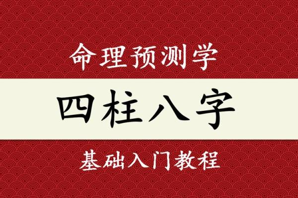 揭秘八字精髓：四柱命理入门必读宝典