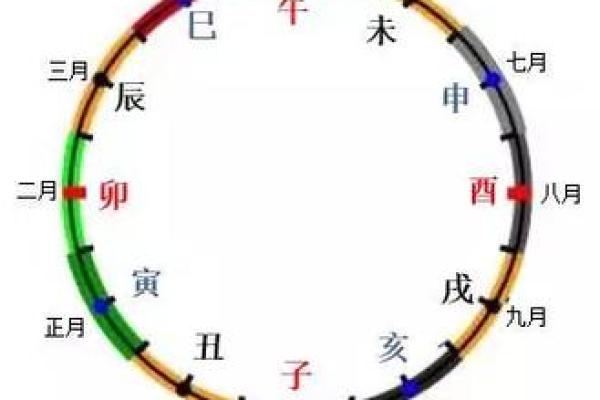 高清十二地支图案展示 高清十二地支图案展示