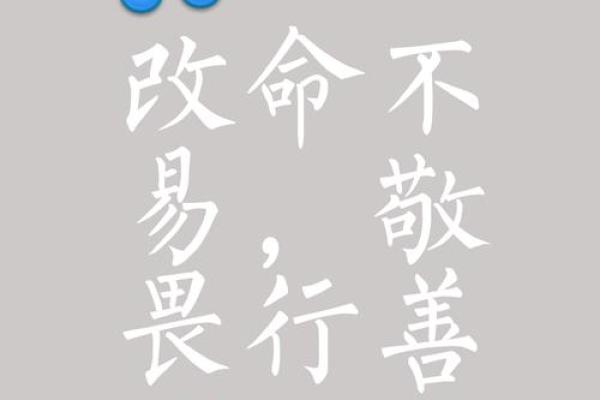 苗子恒:恒久如一的智慧之光,命运之路璀璨生辉 苗子恒:恒久如一的智慧之光,命运之路璀璨生辉