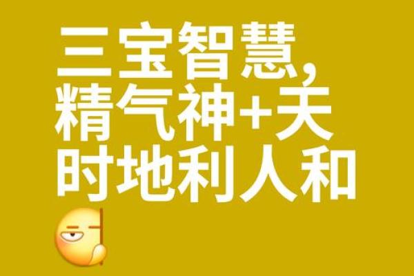 苗子恒:恒久如一的智慧之光,命运之路璀璨生辉 苗子恒:恒久如一的智慧之光,命运之路璀璨生辉