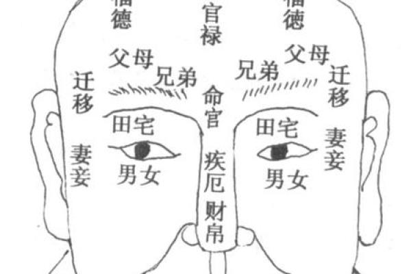 面相透露官运密码，揭秘你的仕途好运！
