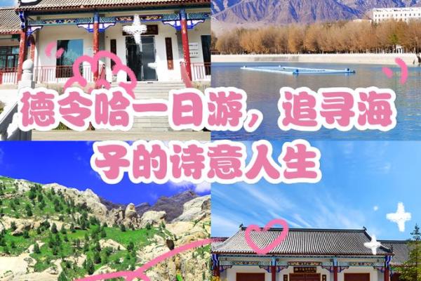 海子：名字背后的诗意人生