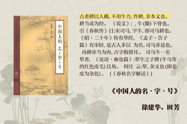 起名之道：探寻名字中的文化内涵