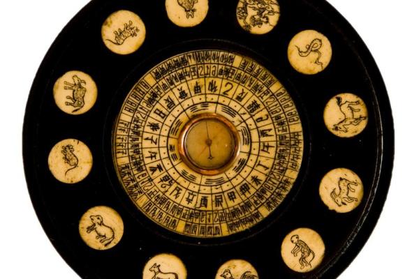 地支的时空变换与个性展现 地支的时空变换与个性展现