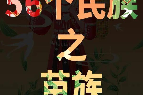 苗字文化的传承与发展