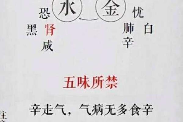 五行属什么 解析与探讨