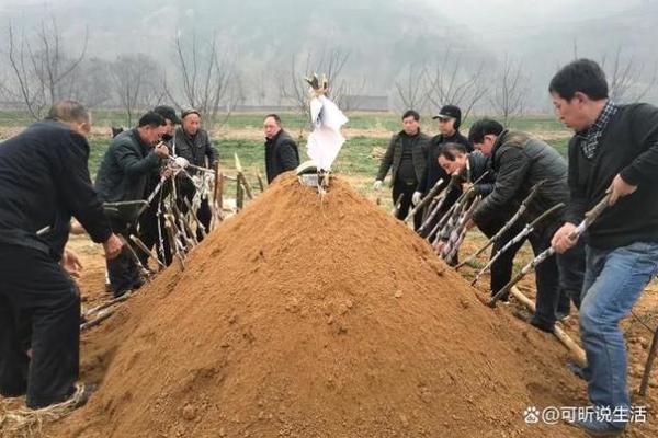 住宅在坟地风水如何？揭秘风水禁忌与家居幸福