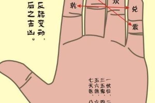 生辰八字如何揭示阴阳之道