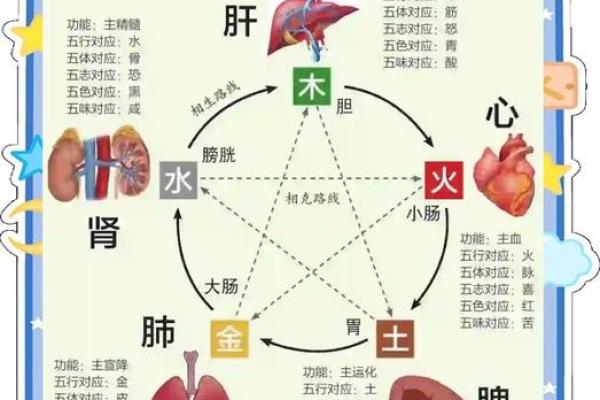 幸五行属什么？从命理角度解读