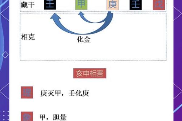 地支相克的奥秘与解析