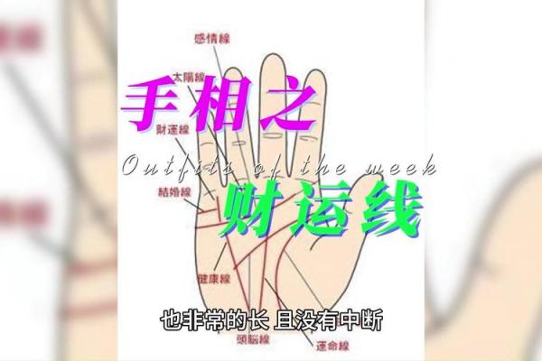 面相解析：财运尚可的神秘特征