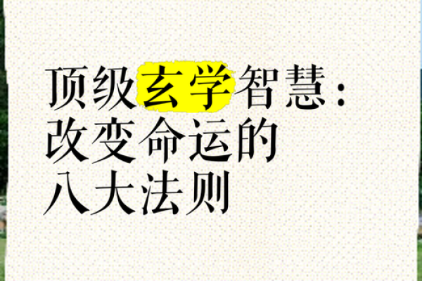揭秘命运新法则：你的命运，你做主！