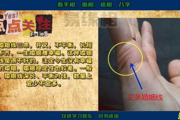 牵手再续：手相解读复婚的幸运密码