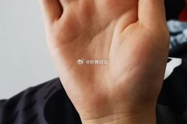 牵手再续：手相解读复婚的幸运密码