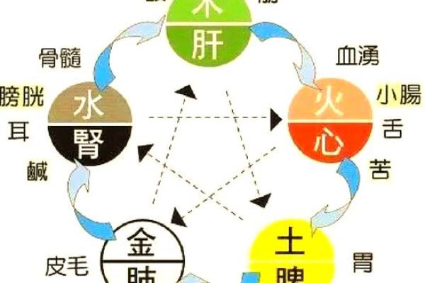 春季五行调和，助力身心健康