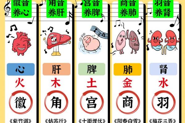 春季五行调和，助力身心健康