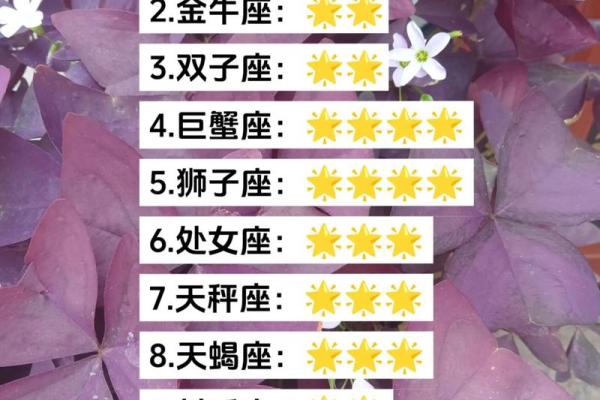 今日星座运势解析：掌握一天的命运走向