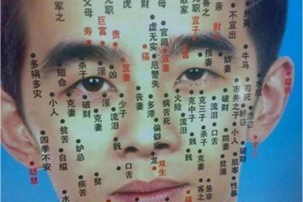 痣相揭秘：男人身上这些痣，财运亨通、福泽深厚！