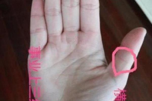 穷人手相大揭秘：财运逆袭的秘密武器！