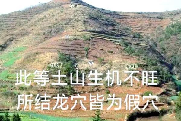 揭秘：奇门与阳宅风水，哪个更难学？行业专家为你一探究竟