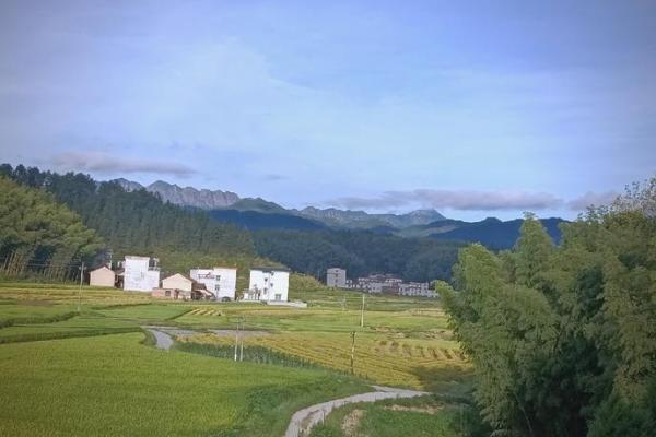 揭秘高层阳宅风水禁忌大全：避开这些，财运亨通、家庭和睦