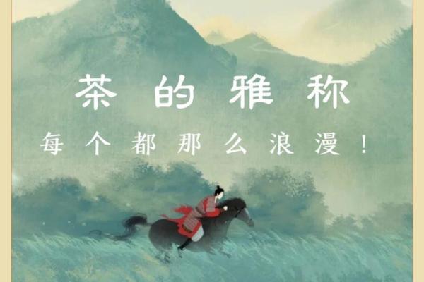 沈沐的名字寓意与人生哲学探索