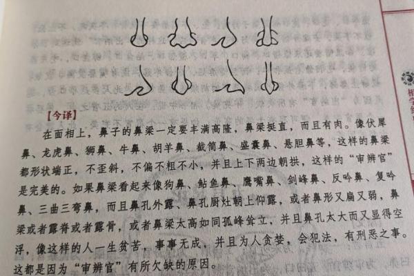 鼻尖藏金：揭秘面相中鼻子的秘密寓意