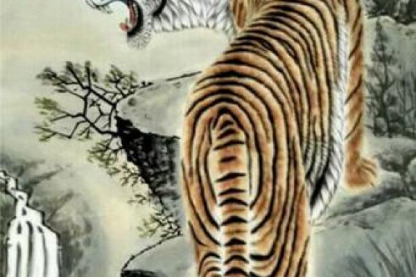 家居风水中的老虎元素：如何吸引好运？