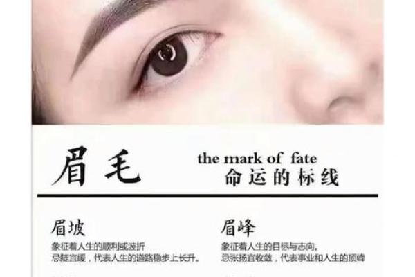 额头汗毛面相解析：揭示神秘命运密码