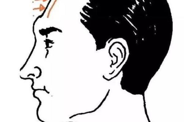 额头汗毛面相解析：揭示神秘命运密码