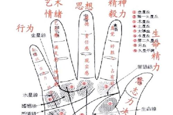 口字纹手相图解：财运亨通的秘密法则