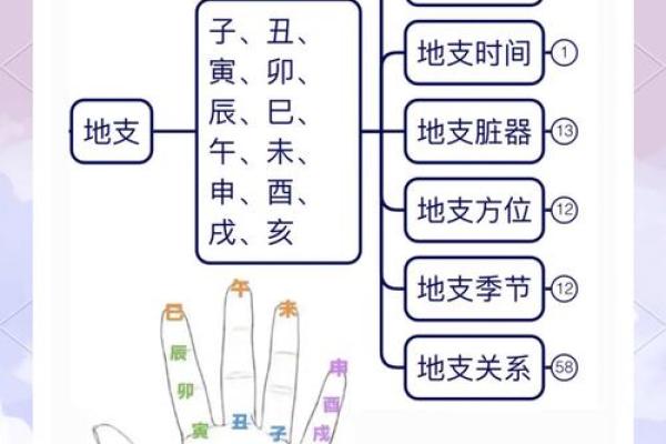 掌握地支顺序的技巧