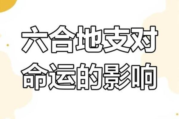 地支破恋爱：命运中的感情困境