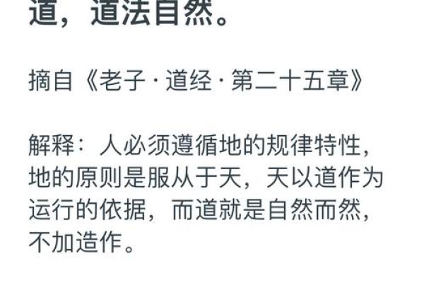 道法自然，探索道家思想的智慧