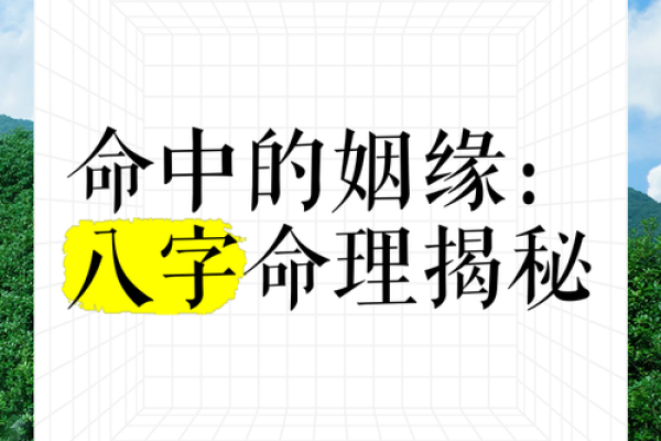 八字姻缘速配，揭秘你的幸福姻缘