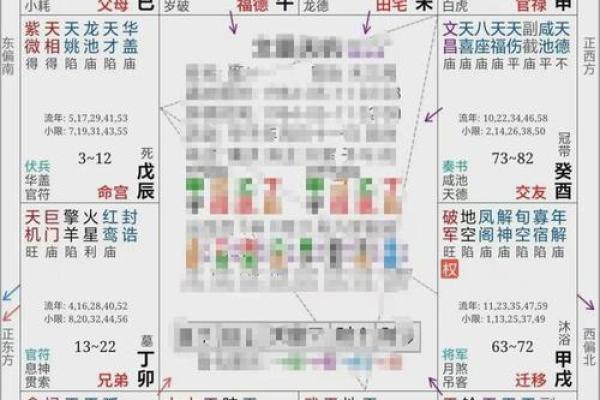 紫薇命盘揭秘：你的运势密码大公开！