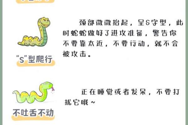 探秘蛇自文化：传统文化中的智慧与传承