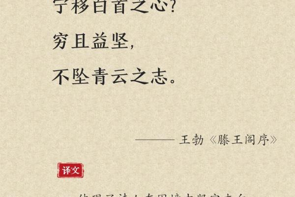 星河摇光：名字中的诗意与哲理