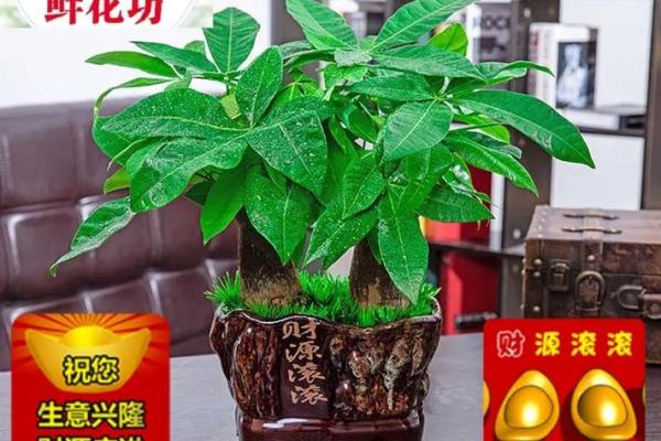 小店摆设风水秘籍：助你生意兴隆，财运滚滚