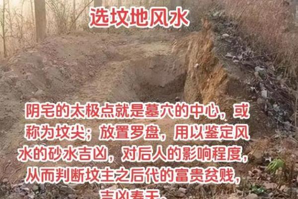 阳宅风水揭秘：如何一眼看穿人丁兴旺的秘密