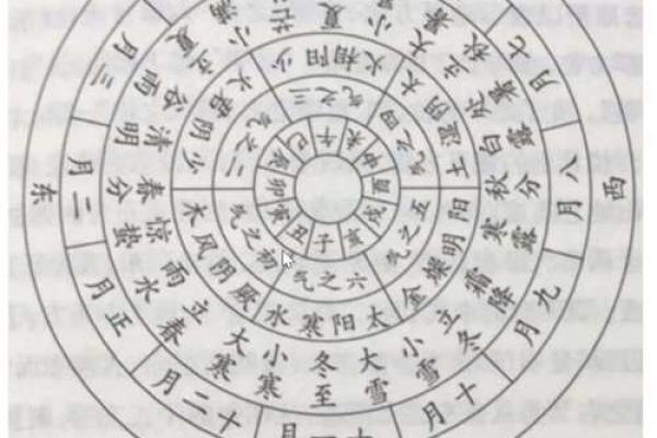 地支五行相互作用对运势的影响