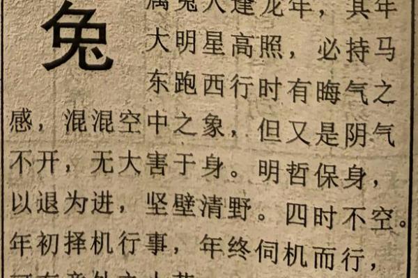 属兔人今年运势走势预测