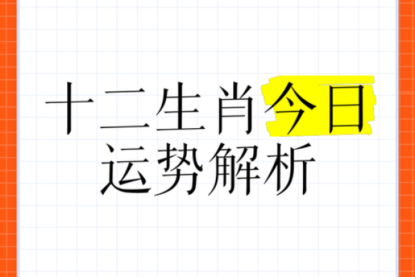 癸亥年运势解析：开启你的幸运之门