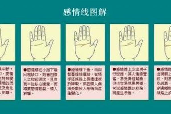 解锁你的命运密码：揭秘手相读心术