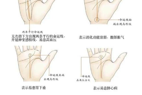 手相揭秘：一招轻松看肠胃健康！