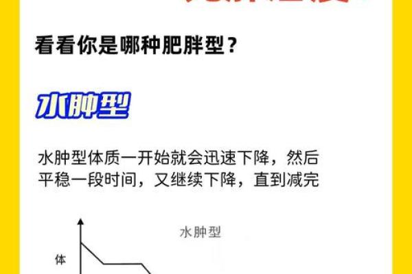 命理揭秘：减肥成功的关键在于体质，你属于哪一种？